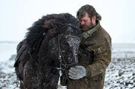 The icelandic horse is a token of the icelandic nation and its pride and joy. The Three Top Questions First Time Icelandic Horse Riders Ask Before They Book A Riding Tour Mr Iceland The Best Horseback Riding In Iceland