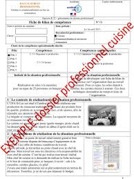 Dossier Professionnel Pdf Free Download