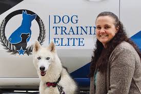 So you just bought or rescued a puppy and you're thinking you might need a little help. Pandemic Prompts Kannapolis Family To Launch Dog Training Franchise Salisbury Post Salisbury Post