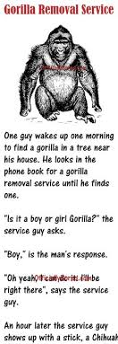 Wow, just look at our cars! Medical Jokes