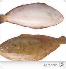Sole Et Plie Recette Sole Filets De Sole Sole Poisson