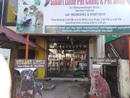 Simply show up during clinic hours to get the best recommended care for your dog, cat, puppy or kitten. Stuart Little Pet Clinic Pet Shop Veterinary Hospitals Book Appointment Online Veterinary Hospitals In Madhavaram Milk Colony Chennai Justdial