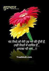 Images like this you cannot see anywhere else. Good Morning Whatsapp Images For Dp Status In Hindi Good Morning Quotes Good Morning Friends Quotes Morning Quotes