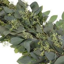 Wholesale Seeded Eucalyptus Garlands Fiftyflowers Unique Wedding Flowers Church Wedding Flowers Beach Wedding Flowers