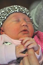 Susan McNeil Archives