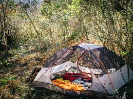 Thirty years of research from harry robson has led to the exact formula of what we now present: Pioneer Camping Spring Fed Pond Dock Branch Ranch And Forest Nc 5 Hipcamper Reviews And 44 Photos
