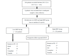 Flow Chart Of Patient Selection For This Study Bnp Brain