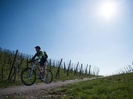 Beliebte Radwege In Nrw 7 Schone Fahrradtouren Vor Den Toren Kolns Fahrradtour Radwege Radtouren