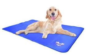 The tech deployed during the cooling pad manufacture ensures the mat's temperature remains well above the freezing range. 7 Best Dog Cooling Pads And Mats In 2021 And Why They Are Worth Buying