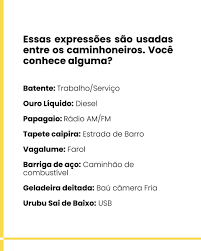 Trucks Control on X: O dicionário do Rádio PX está de volta! O Rádio PX é  um dos sistemas de comunicação mais usados pelos caminhoneiros. As “gírias”  usadas pelos caminhoneiros só reconhece