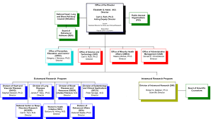 about nhlbi organizational chart