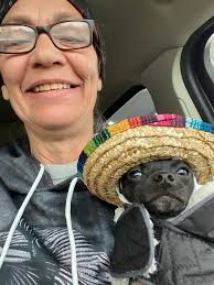 Mojo enjoying his favorite part time activity