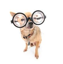 Smarty Stock Image Image Of Blind Eyesight Background 19038959