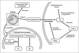 6,421 likes · 3,684 talking about this. Pathogenic Mechanisms In Endometriosis Associated Infertility Fertility And Sterility