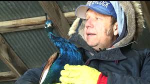 Iowa's Sub-Zero Cold Takes Toll