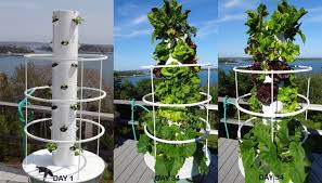 This diy aeroponics system was easy to build and fairly low cost with the pump being the biggest expense. Vertical Aeroponic System Diy Diy Aquaponics System Australia