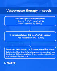 Image result for Vasopressor