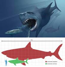 Real megalodon would bite the leedsicthys in half with one bite. World S 11 Biggest Animals Of All Time Viralfeed Info
