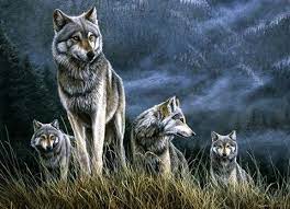 Wolf Pack By Dr Jeremy Paul Wolf Pack Tattoo Wolf Photos Wolf Artwork