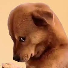 Maleeha Syeda's Instagram, Twitter & Facebook