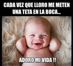 Que Es Un Meme Y Cual Es Su Origen El Mundo Al Instante