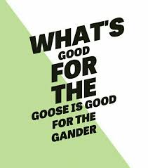 What S Good For The Goose Is Good For The Gander Southern Sayings Southern Phrases Southern Girls
