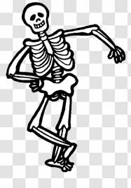 Check spelling or type a new query. Skeleton Skull Clip Art Photography Siluet Image Transparent Png