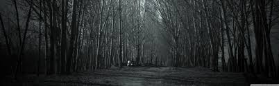 Scary halloween pumpkins and lit candles. Creepy Forest Wallpaper 3840x1200 Download Hd Wallpaper Wallpapertip