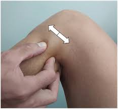 Image result for Shuck Test