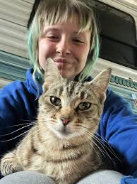 Fishersville Va area this is my daughter and grandkids kitty please help  get him back hone.