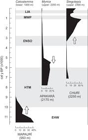 Image result for Indigofera fuscobarbata