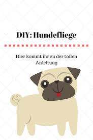 Dieses gericht ist relativ mager und daher auch für hunde mit übergewicht geeignet! Diy Hundefliege Midoggy Community Hundefliege Hunde Hundetricks