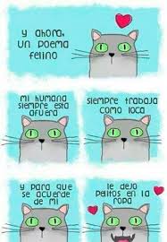 7 Poemas De Amor Graciosos Reirse Y Amar Todo Es Empezar