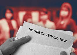 Their business is recorded as domestic business corporation. New York Firms Let Hundreds Of Thousands Go Amid Covid 19 The Real Deal