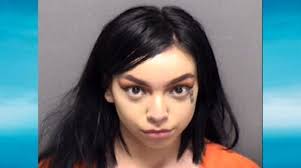 Six suspects lure teen to apartment to meet woman; rob, beat and hold  captive