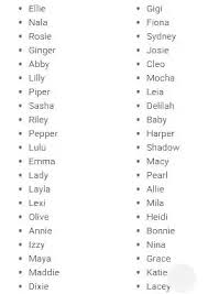 So, i just want to. Dog Names Girl White Dunia Belajar