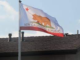 My parents think im starting some kind of communist revolution in california. Ncr Flag Fallout New Vegas Fallout Vault Dweller