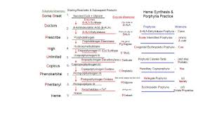 heme synthesis porphyrias mnemonics on meducation