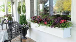 Fuchsias, ferns, asparagus sprengeri, a. Planting Shade Loving Plants In My Window Boxes Garden Answer Youtube