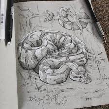 Cass Womack On Snake Drawing Sketches Animal Sketches