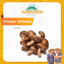 Kalau ikut dari segi nama macam cendawan dari jepun lah kan. Cendawan Shiitake Prices And Promotions Aug 2021 Shopee Malaysia