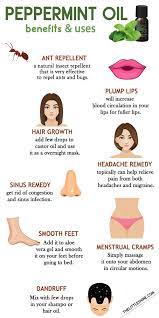 Peppermint oil is a derivative of the peppermint plant, which is a cross between water mint and spearmint. Peppermint Oil Benefits And Uses The Little Shine