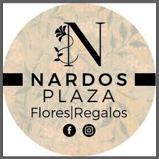 NARDOS PLAZA