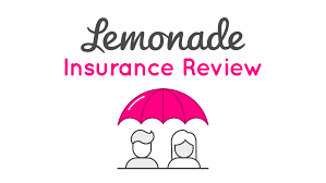 We've gathered all the details you need to better understand your insurance options. Lemonade Insurance Review Quote Com
