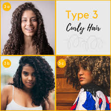 The andre walker and l.o.i.s system. Hair Type Guide What Curl Pattern Do You Have The Wild Curl