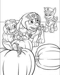 Skye Zuma And Chase Working Together In Paw Patrol Coloring Pages Letscolorit Com Paw Patrol Coloring Pages Paw Patrol Coloring Halloween Coloring Sheets