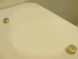 A potato flew around my room is a vine meme that became popular in late 2014. Popular Gifs Page 678 Wifflegif