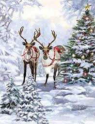 We did not find results for: Pop Up Cards Christmas Cards Christmas Greeting Cards Holiday Cards Rustic Christmas Scene Box 8 Buy Online In Bahamas At Bahamas Desertcart Com Productid 160693006