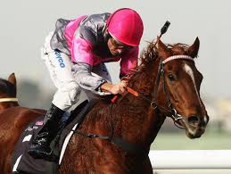 images?q=tbn:ANd9GcTSRw5Kv05QUghMzS_67_8afynMnjtIKT71ptThwrh9USRgX8CiEQ