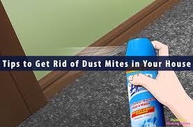 Dust mites love to dwell in sheets, pillows and. 11 Remedies To Get Rid Of Dust Mites At Home